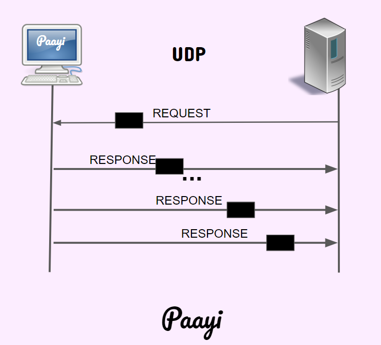 Python Tutorials: Learn Python Networking in Detail with Examples